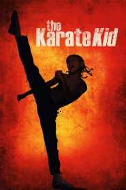 The Karate Kid [Hin+Tam+Telu+Eng]