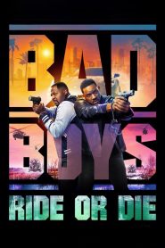 Bad Boys: Ride or Die (Hindi)